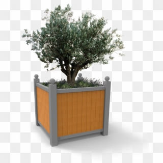 Optimise Your Street Planting Budget With The Roseraie - Street Tree Planter Png Clipart