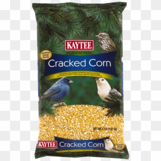 Budgies Eating Cracked Corn Clipart