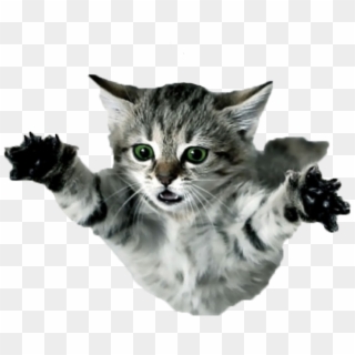 Flying Cat Png - Flying Kitten Clipart