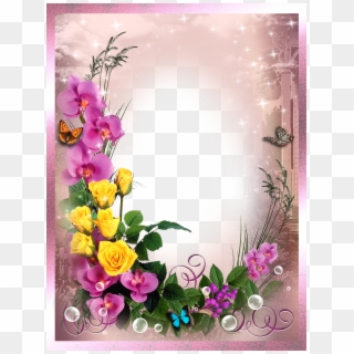 Frame With Bird Png Image - Beautiful Frames For Photos Free Download Png Clipart