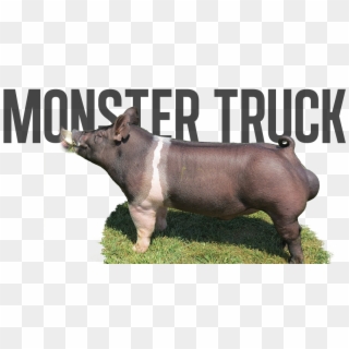 Monster Pipe X Big Stick - Domestic Pig Clipart