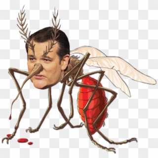 Mosquito Face Insect Nose Invertebrate Head Fictional - Bloodsucking Mosquito Clipart