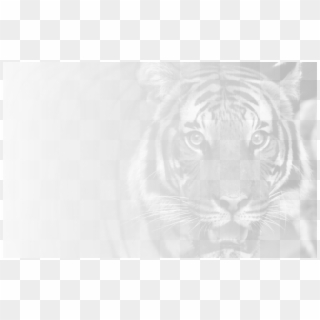 Current Hope High School Online Students Mascot - Bengal Tiger Clipart