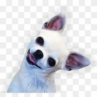 Chihuahua Face Side - Chihuahua Png Clipart