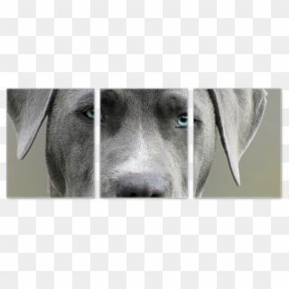 Dog Face Canvas - Labrador Retriever Clipart