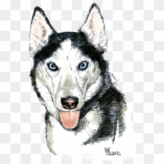 My Experience With Karl Edwards And His Brilliant Eye - Husky Dog Face Png Clipart