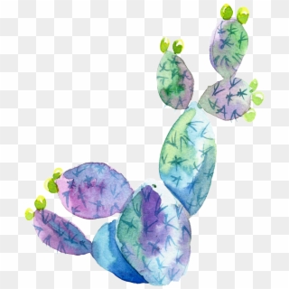 Purple Blue Watercolor Hand Painted Cactus Transparent - Illustration Clipart