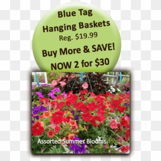 Blue Tag Hanging Baskets - Health And Wellness Clipart