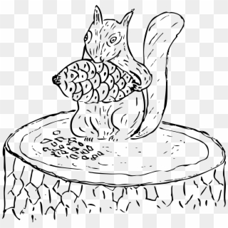 This Free Icons Png Design Of Squirrel Eating Pine Clipart