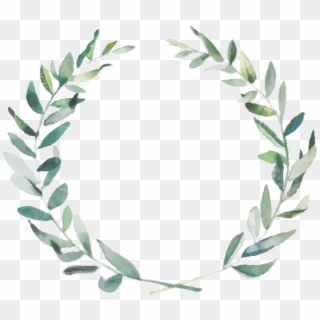 Olive Branches Png - Watercolor Olive Branch Transparent Background Clipart
