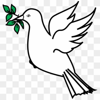 Drawn Dove Olive Branch Drawing - Peace Symbol Olive Branch Clipart