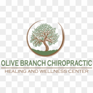 Olive Branch Chiropractic Logo - Pond Pine Clipart