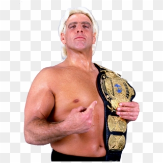 Image Id - - Ric Flair Wwe Champion Png Clipart