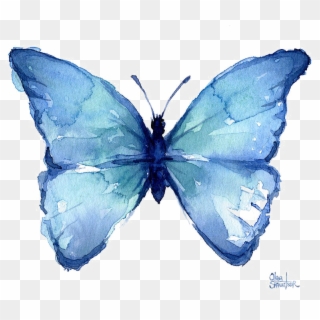Blue Butterfly Png Free Download - Blue Butterfly Watercolor Clipart