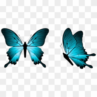 Free Png Download Blue Butterfly Clipart Png Photo - Png Format Butterfly Png Transparent Png