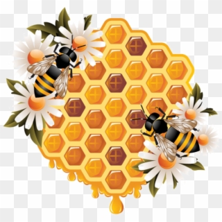 Ϧees ‿✿⁀ - Honey Bee Illustration Clipart