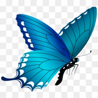 Free Png Download Blue Butterfly Clipart Png Photo - Real Blue Butterfly Png Transparent Png