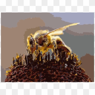 This Free Icons Png Design Of Bees Collecting Pollen Clipart