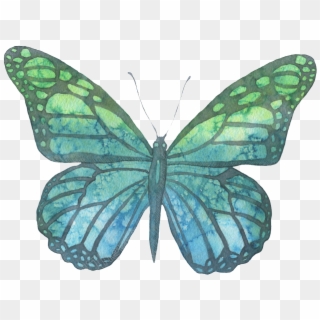 1024 X 788 3 - Watercolor Butterfly Png Transparent Clipart