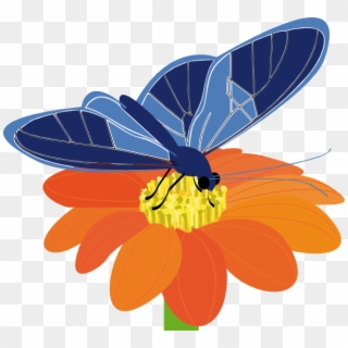 Blue Butterfly With Flower Clip Art At Clker - Butterfly On Flower Clip Art - Png Download