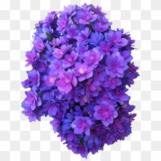 Purple Flowers Transparent - Flower With Transparent Background Clipart