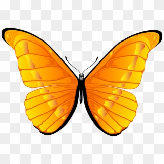 Butterfly Clipart Png - Butterfly Png Transparent Png