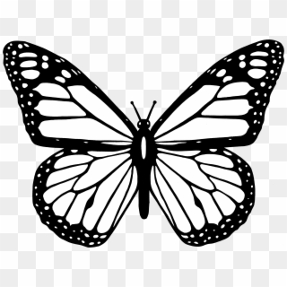 Black And White Butterfly Clipart Images Of - Black And White Butterfly Cartoon - Png Download