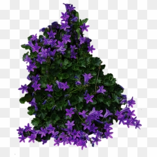 Bush With Purple Flowers Png Image - Flower Bush Transparent Background Clipart