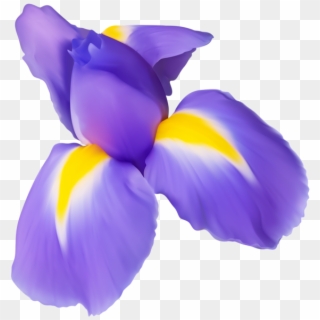 Flower Png Image Gallery Yopriceville High - Iris Flower Transparent Background Clipart