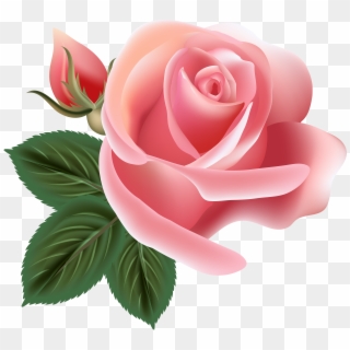 Pink Rose Clip Art Png Image - Pink Rose Clip Art Png Transparent Png