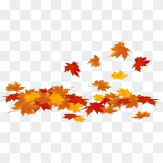 Transparent Fall Leaves Png Clipart