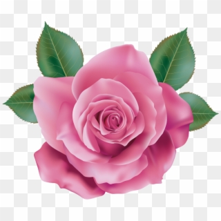 Download Pink Rose Png Images Background - Rose Png Clipart