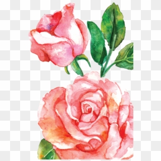 15 Pink Watercolor Roses Png For Free Download On Mbtskoudsalg - Watercolor Rose Flower Png Clipart