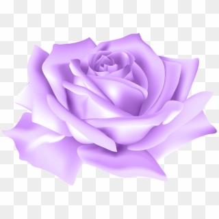 Free Png Download Purple Rose Flower Png Images Background - Pink Rose Png Transparent Clipart
