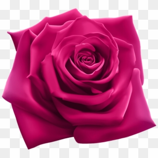 Free Png Download Pink Rose Png Images Background Png - Snoop Dogg 220 Clipart