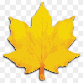 Leaf Clipart, Download Leaf Clipart - Maple Leaves Clip Art - Png Download