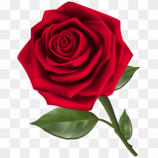 Beautiful Red Rose Png Clipart Best Web Clipart Transparent Png