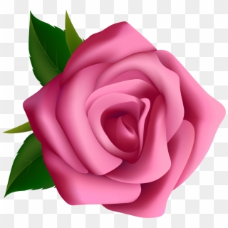 Free Png Download Pink Rose Png Images Background Png - Free Clipart Pink Rose Transparent Png