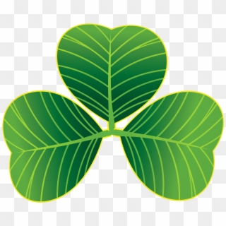 St Patricks Day Shamrocks Png Clipart - Saint Patrick's Day Transparent Png