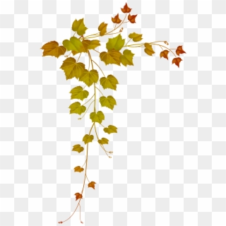 Decorative Clipart Falling Leave - Leaves Frame Png Transparent Png