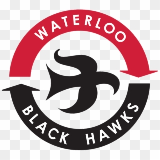 Waterloo Black Hawks Logo - University Of Arkansas Football Logo Clipart