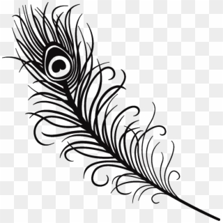 Silhouette Feather Peacock Peacockfeather Black Love - Peacock Feather Clipart Black And White - Png Download
