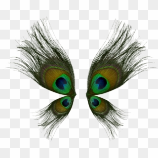Make Butterfly Wings From Peacock Feathers, Frame In - Peacock Wings Clipart