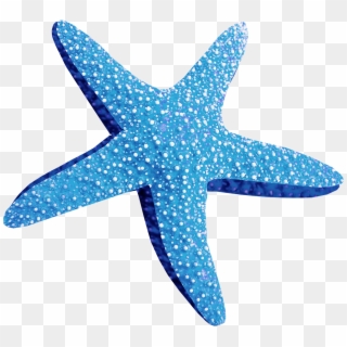 Blue Starfish Png Blue Starfish Png - Морская Звезда На Белом Фоне Clipart