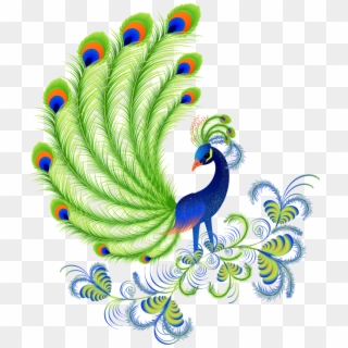 Cartoon Peacock Feathers - Peacock Beautiful Pictures Of Cartoon Clipart
