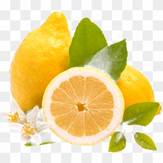 Limon Png Clipart
