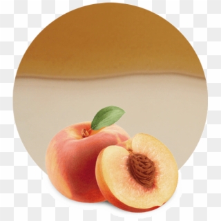Com/wp Concentrate Clear - Nectarines Clipart