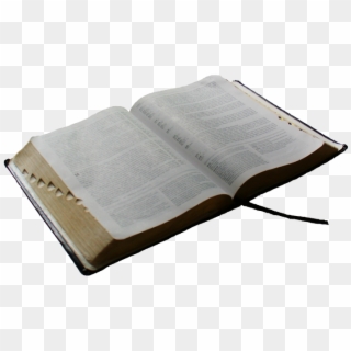 Adult Bible Fellowship - Bacon Bible Clipart