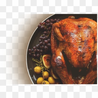 Thanksgiving-turkey - Beige Clipart