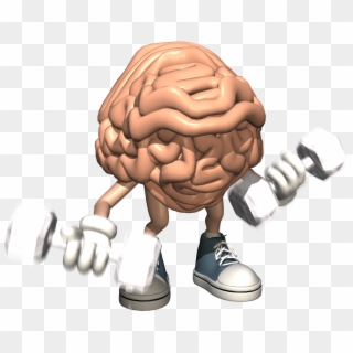Does Your Brain Work Like A Muscle Clipart